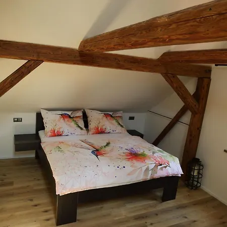 Danuse * Česká Lípa