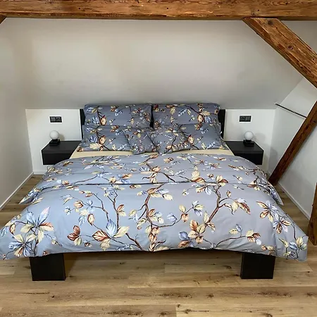 Διαμέρισμα Danuse *